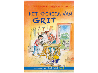 Boek het geheim van grit lianne biemond
