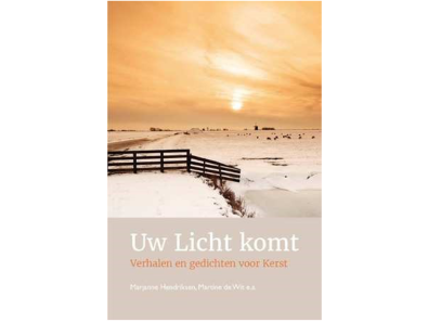 Schrijven boek uw licht komt lianne biemond
